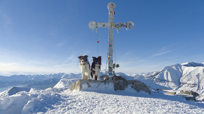 E6A051B3-D081-4804-BB18-1E6E3B13D955