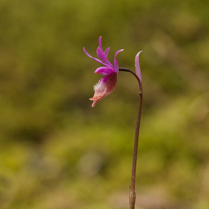 20250507-152534-4954-_DSF5904_FHDP_01