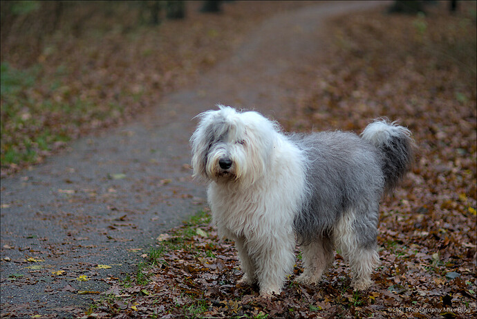 EMG10983-Wandeling_Heiloo-ISO200-dt-2021-web