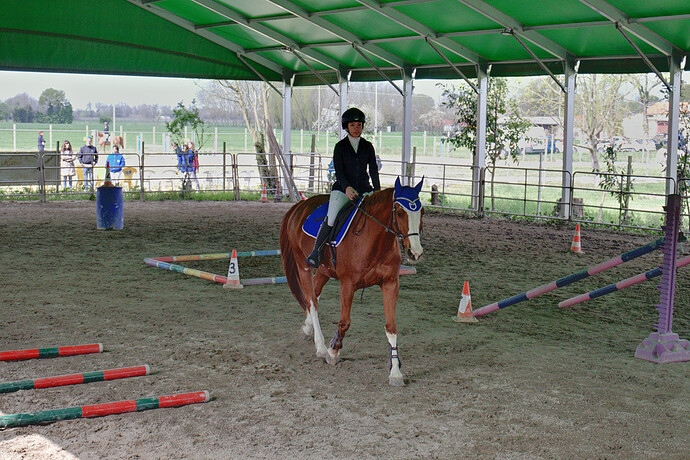 IMG_6624 Bitless_I_2023_2