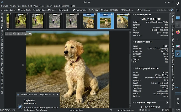digiKam 8.8.0 Running Under Linux to Preview HEIF Images