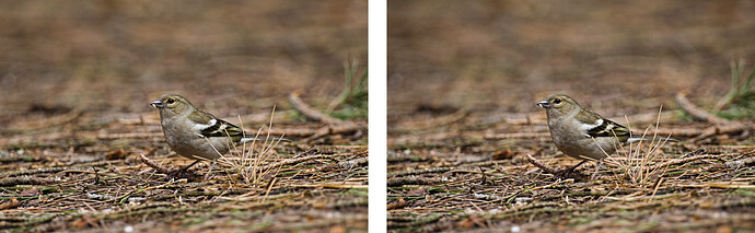 _DSF8859_vign-comparison