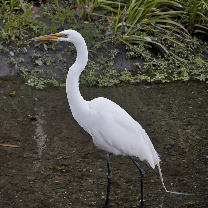 DSC_6163_01