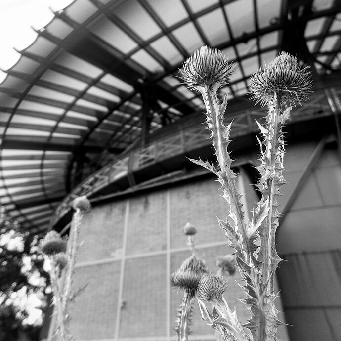 2025-06-25-19-13-44-P1070558