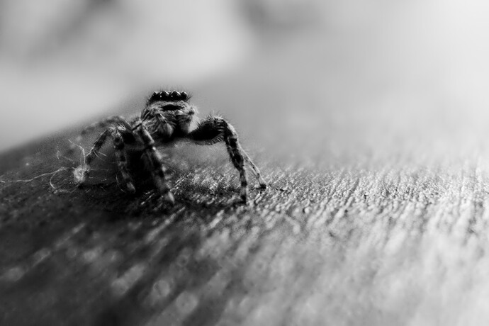 2025-06-25-19-39-21-P1070591_01