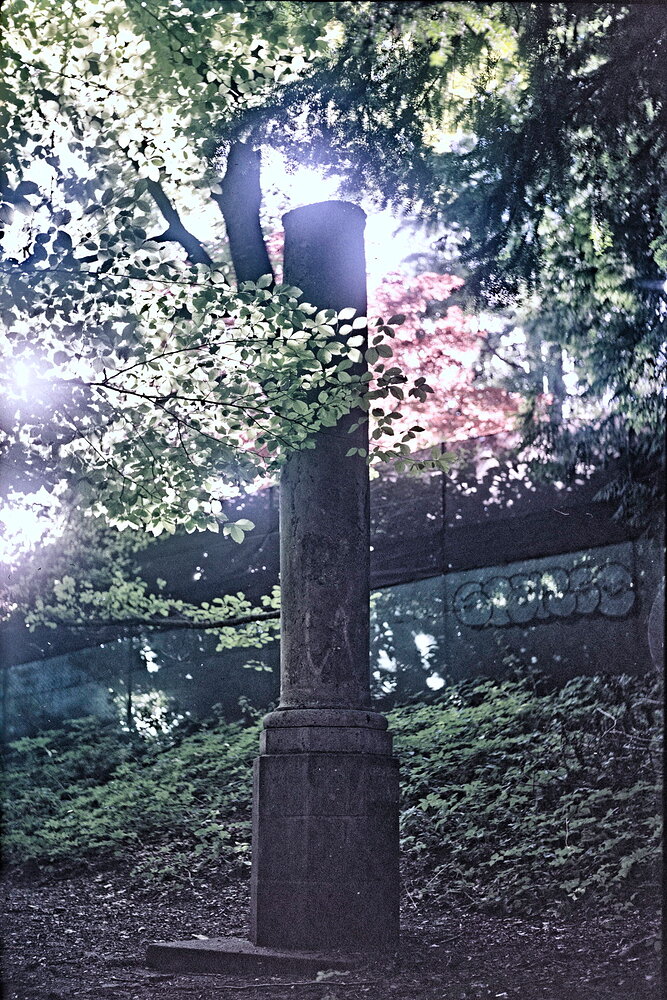 20221114_0V2A6030_RT