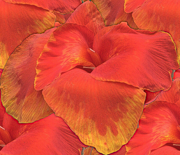 Seamless_flower