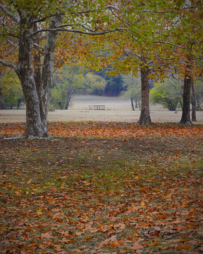 MIG_0317-IMG_0318-social