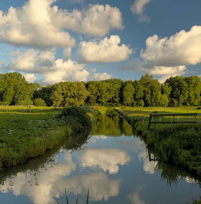 2021_11_TUTORIALESclouds