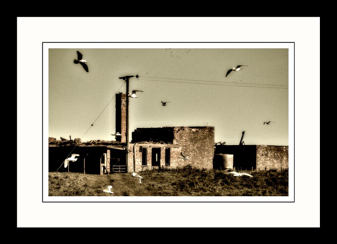 20250523-1716-9868_02