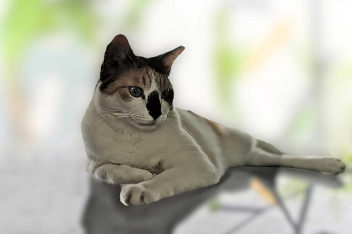 A7404802 RawTherapee and GIMP (1)