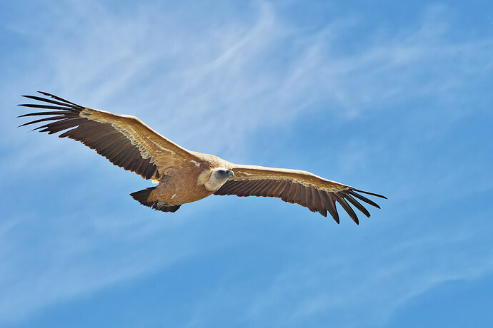 2025-05-27-IMG3791-