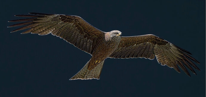 _DSC9059-DxO_DeepPRIME XD2s