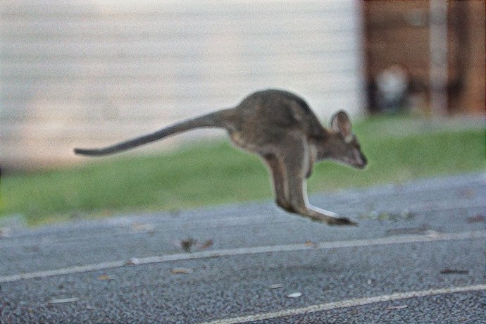 2021-04-21_16-31-08.08_DSC9093_gimp_gmic_edit