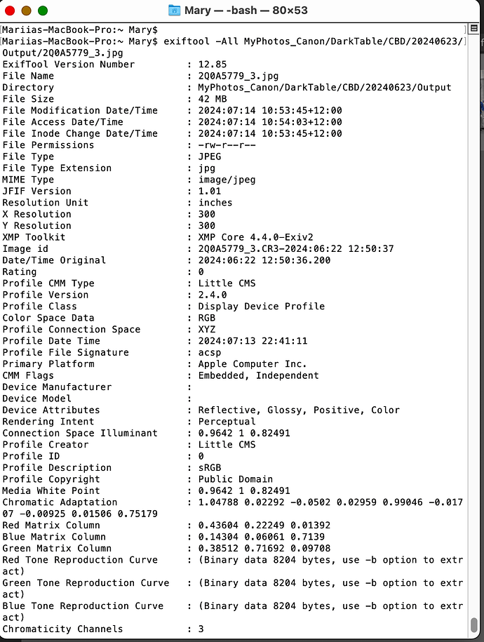 Screen Shot 2024-07-14 at 12.14.02