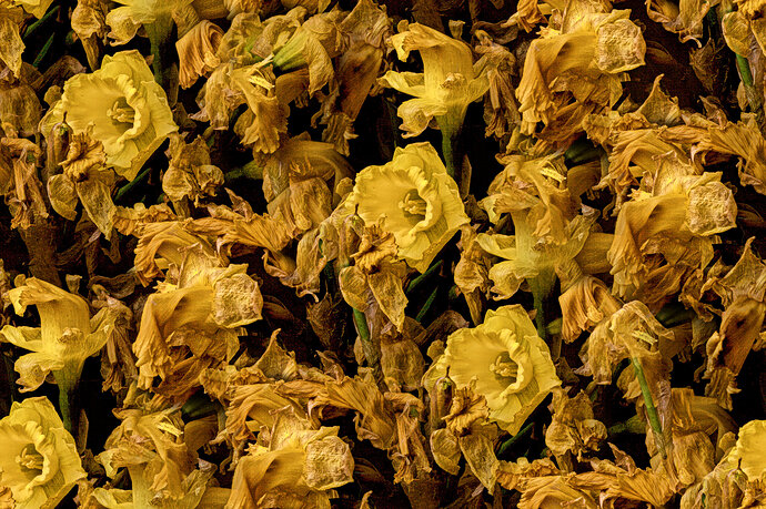 26-03-26 _MG_9285