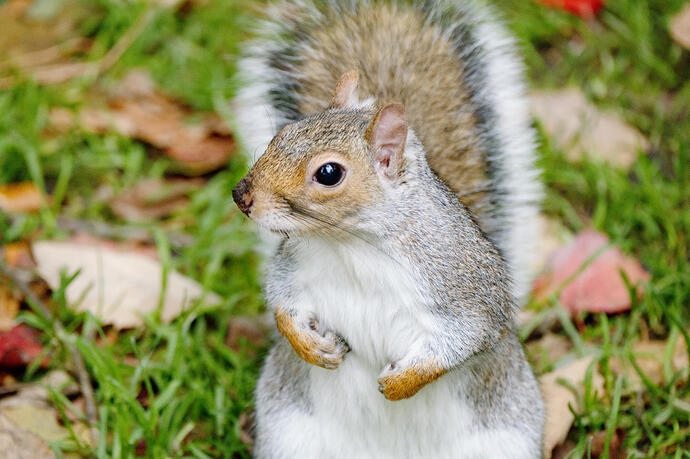 20251010_151148_DSCF0758