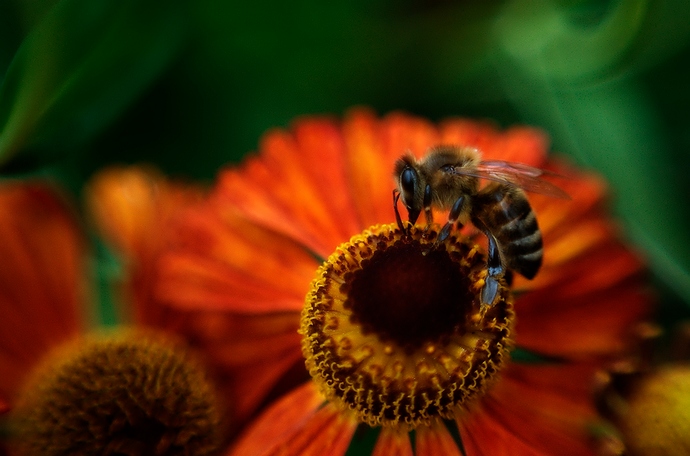 20190820_Sdpark_Blten_8112_B