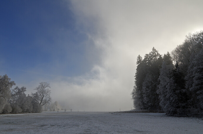 2024-01-14_14-03-19_DSC_0054_1