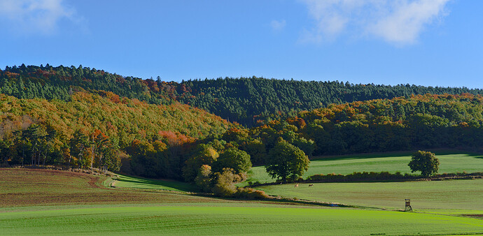 251018_094402_DSC05235_1