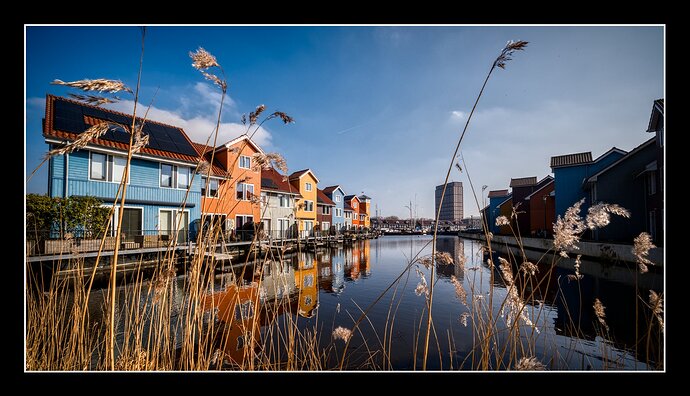 20260303-124152-DSC_0173_05