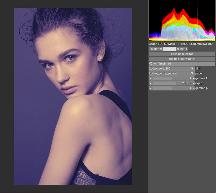 20250223_19h29m22s_grim