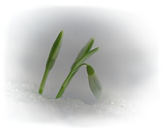 260216_132504_DSC08614