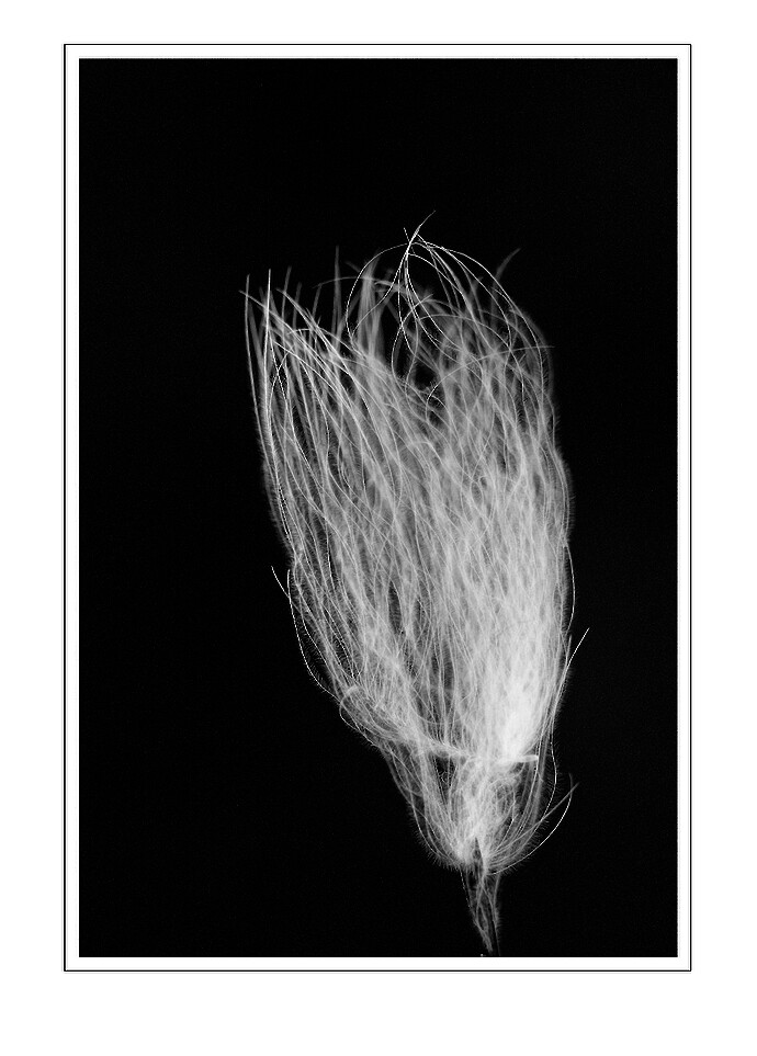 S7R09291