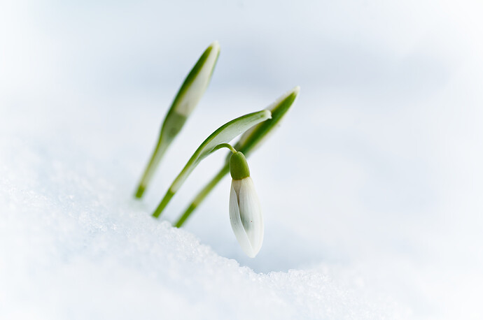 260216_132312_DSC08577