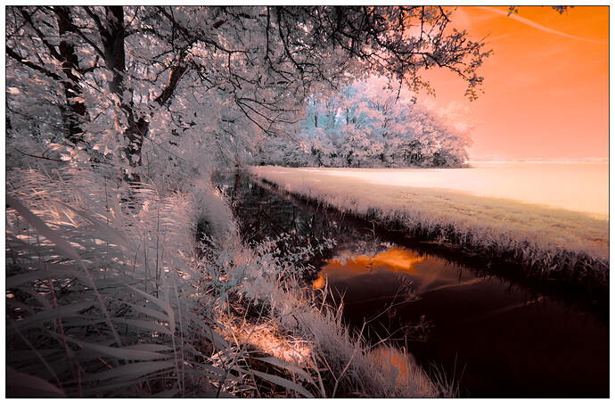 IRGP4981-Wandeling-ISO100