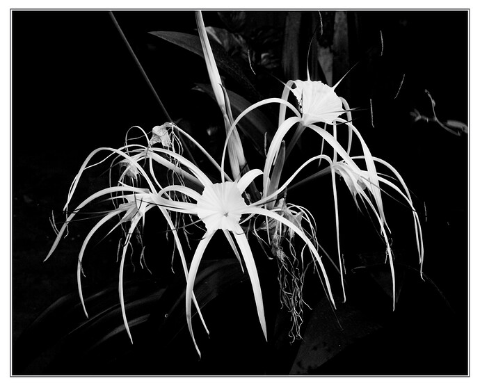 20260502_0720_3487