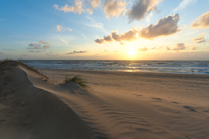 DSC09943_0))
