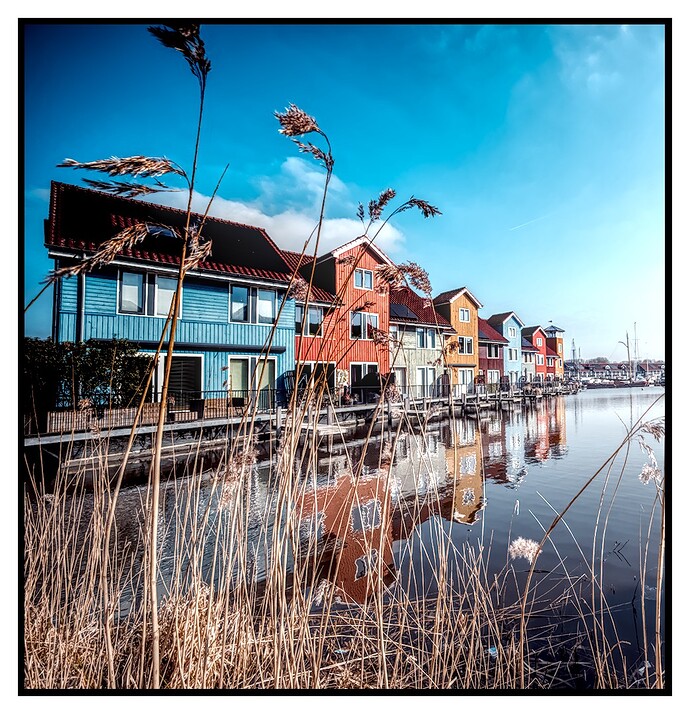 20260303-124152-DSC_0173