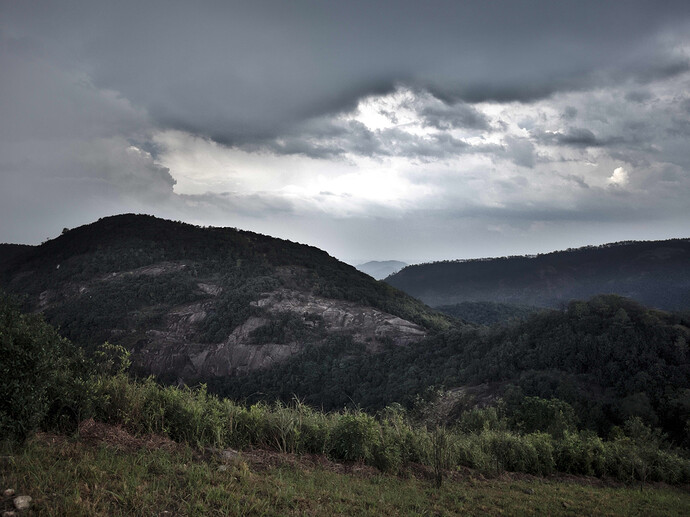 IMG_6339 ART and GIMP 3.08 (1)