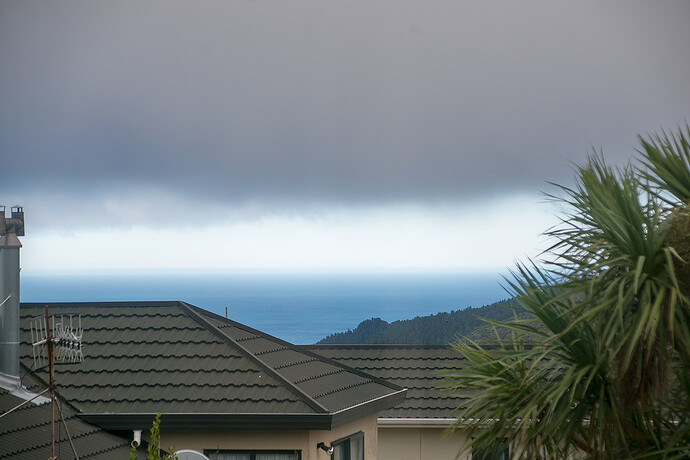 2026-03-30_10-36-05.88_DSC1848