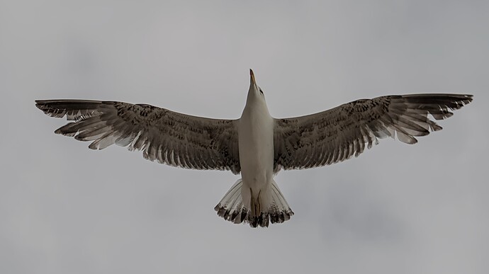 20220602_184226_2029