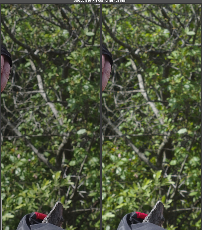 2025-07-06-170923_1053x1201_scrot