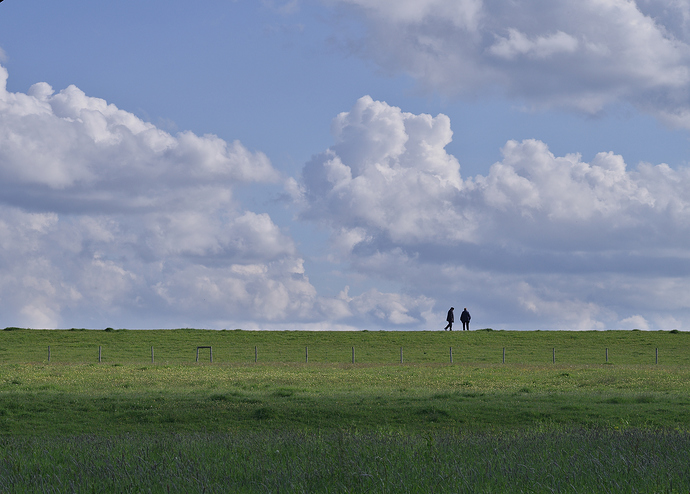 20190509_4136_Rheindamm_Horizont-output