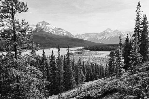 2025-05-25_16-38-18-1