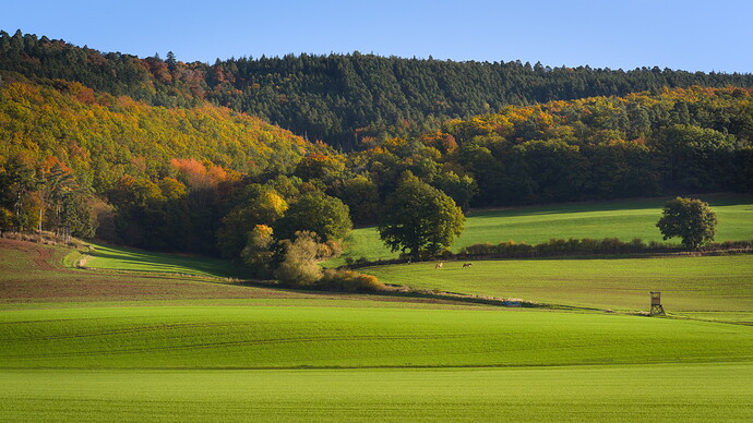 251018_094402_DSC05235