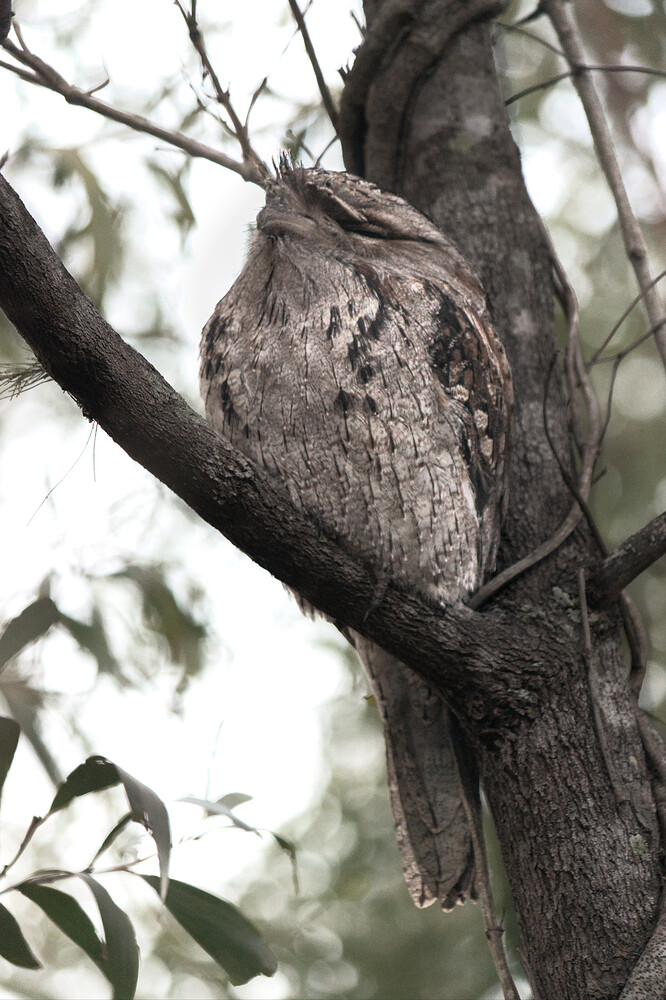 2016-05-27_16-36-39DSC_3861