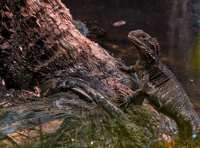 2022-01-25_12-58-48.53_DSC6109_01