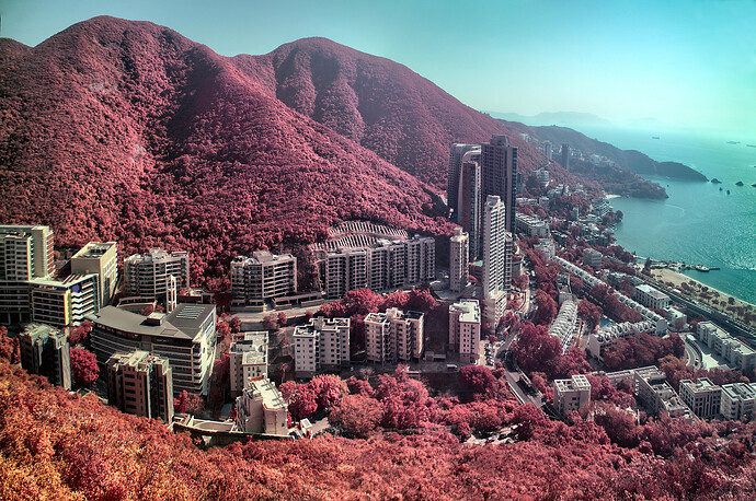 DSC01298-GIMP and Xpano (1)