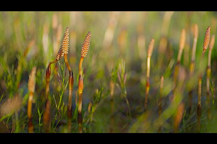 260419_190326_DSC00070