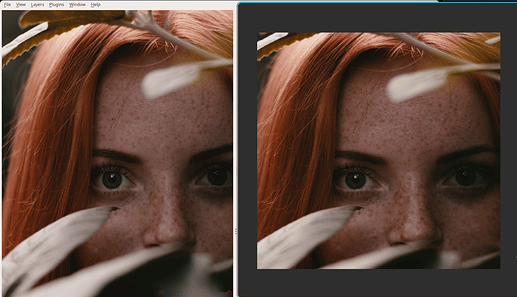 20251101_19h32m05s_grim