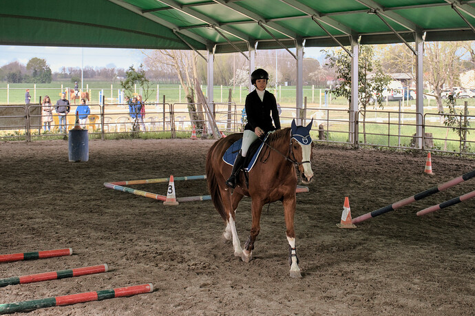 IMG_6624 Bitless_I_2023_1