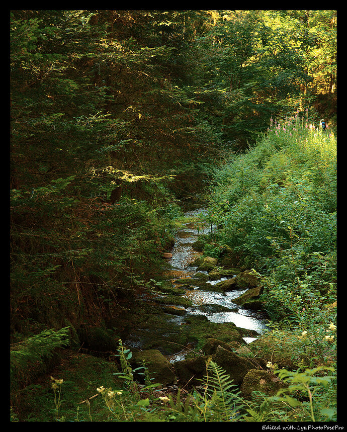 Green_HDBB