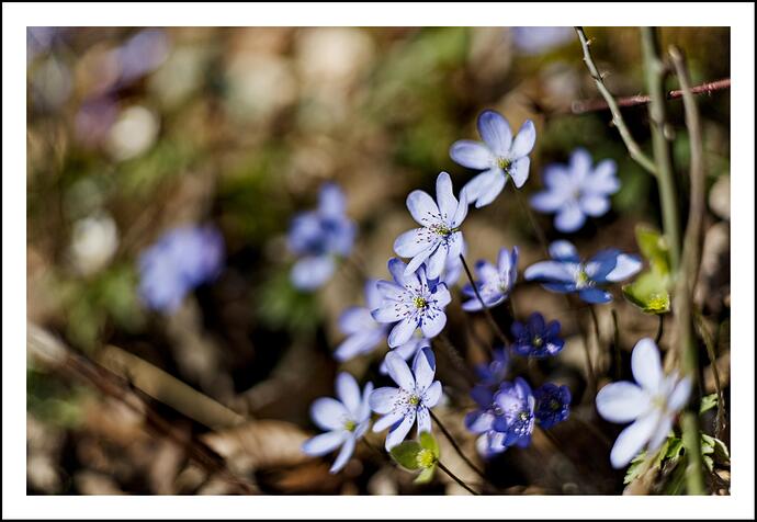 20260320-1448-000148