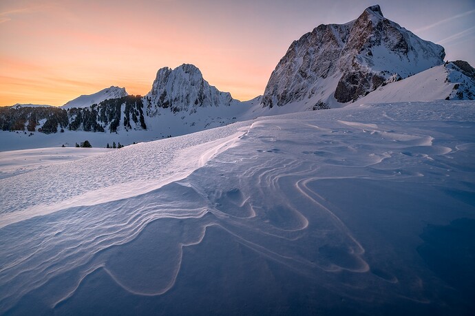 20240121-DSC_6661_02