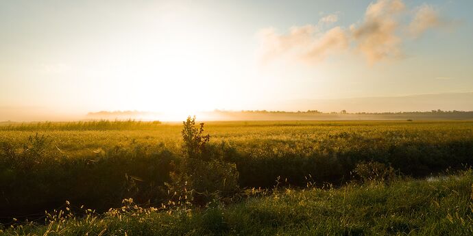 noframe_2024-09-29 04.27.55_01